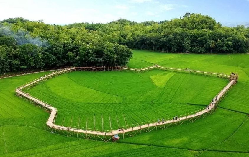 5 Rekomendasi Wisata Sawah di Jogja, Destinasi Hits yang Sejuk dan Bikin Fresh!