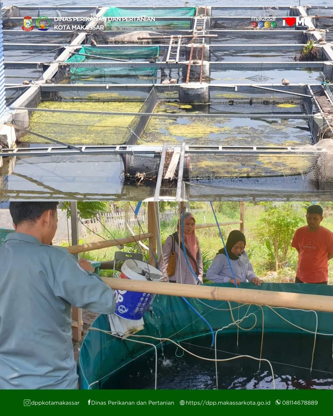 DP2 kota Makassar lakukan Monitoring Pemanfaatan Barang Yang diserahkan Kepada Masyarakat pada Kelompok Tani Hasri Barombong dan Pokdakan Andika Farm