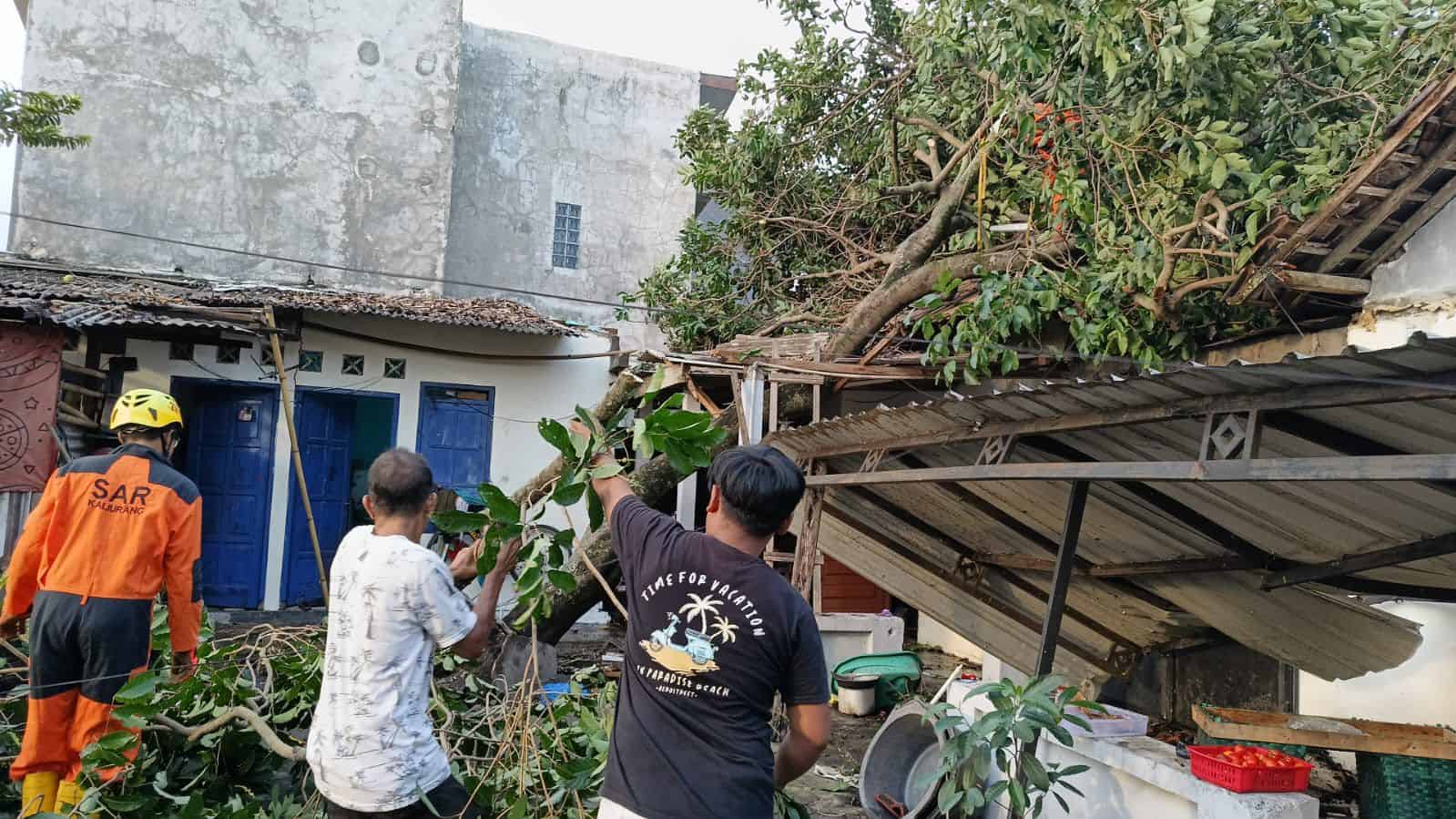 Hujan Disertai Angin Kencang Terjang Sleman: Pohon Bertumbangan Rintangi Jalan, Rumah dan Warung Ambruk