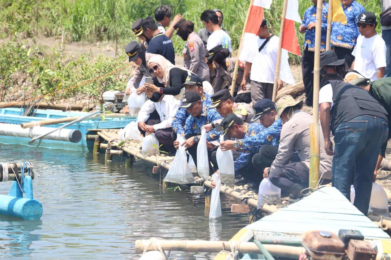 Gerakkan Ekonomi Lokal, Perairan Selatan Kulon Progo Dikembangkan Jadi Wisata Mangrove