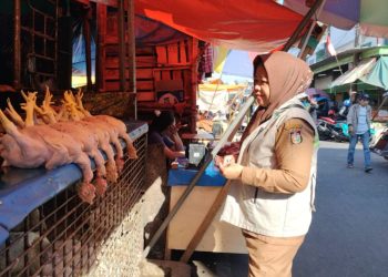 Dinas Ketahanan Pangan Kota Makassar lakukan pemantaun Harga Pangan di Pasar Terong