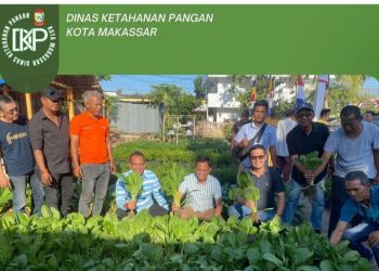 PLT. KADIS DKP TINJAU KEBUN YANG DIKELOLA OLEH KWT BONTORANNU KECAMATAN MARISO
