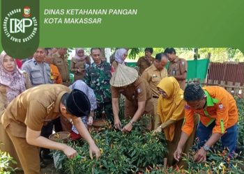 Dinas Ketahanan Pangan Kota Makassar menghadiri kegiatan Panen Raya Cabai