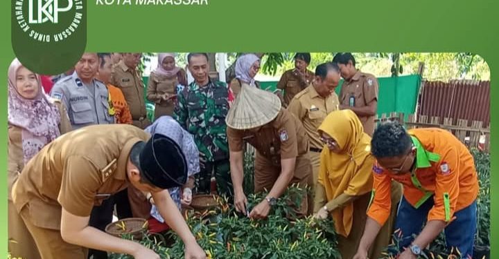 Dinas Ketahanan Pangan Kota Makassar menghadiri kegiatan Panen Raya Cabai