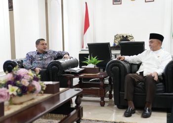 Wali Kota Makassar Dorong Kolaborasi dengan DPD RI untuk Percepatan Pembangunan
