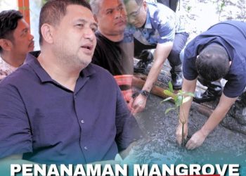 Camat Tamalanrea hadiri penanaman Mangrove di Kelurahan Untia